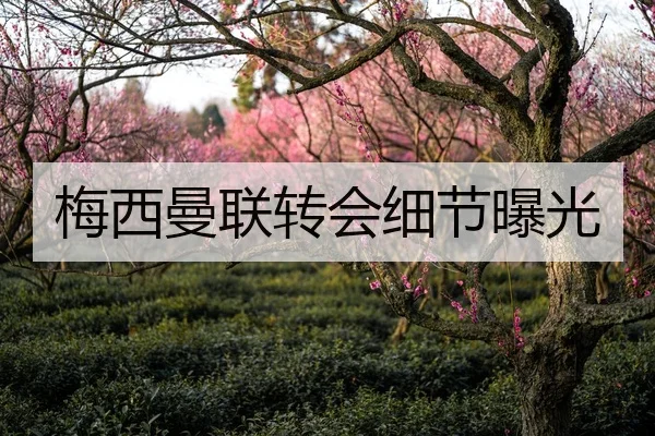 梅西曼联转会细节曝光 | leyutiyu